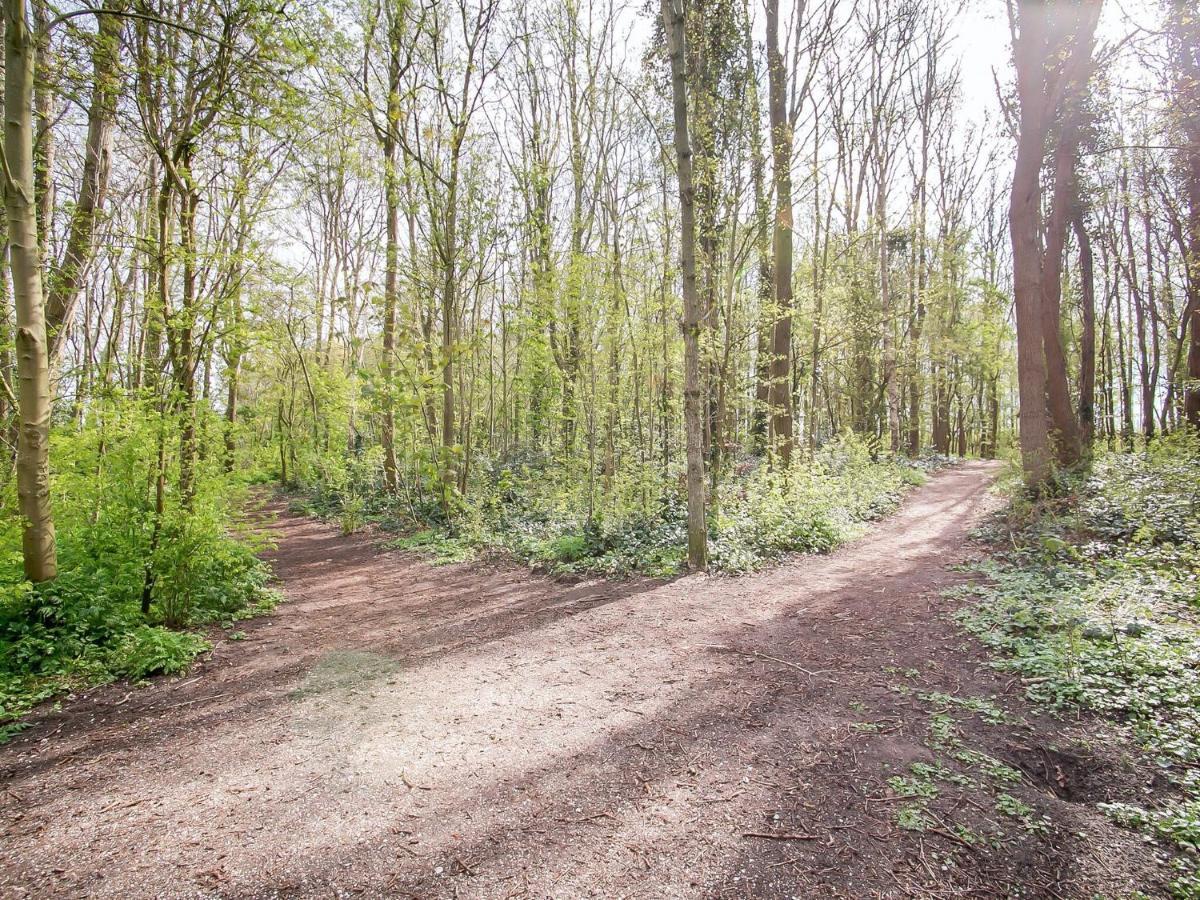 Lovely Bungalow In Noordwijkerhout With Garden מראה חיצוני תמונה